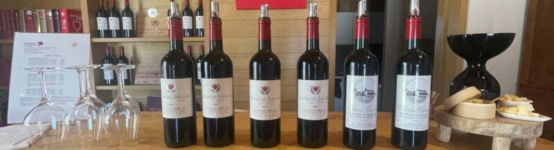 Visit to the property and wine/cheese pairing workshop - FAQ