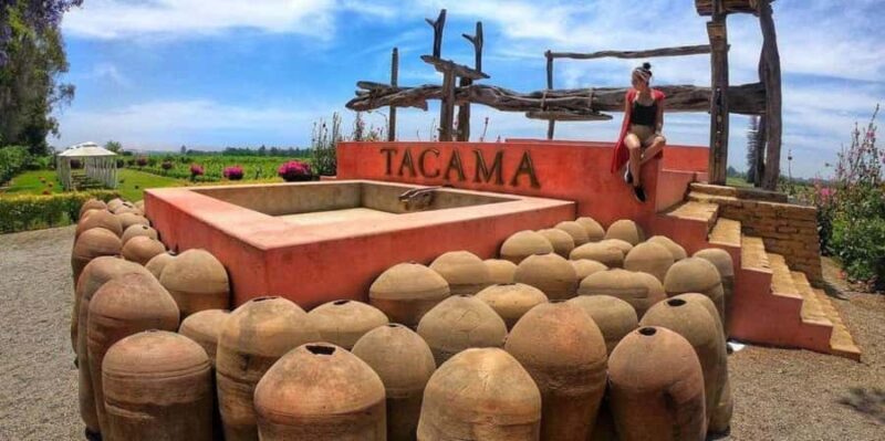 Visit to the Tacama winery + Wine and pisco tasting - A Genuine Look at the Tacama Winery Tour in Ica, Peru