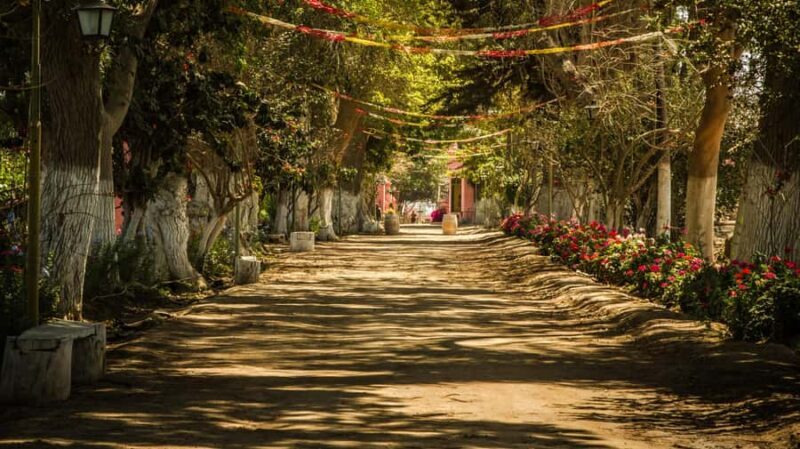 Visit to the Tacama winery + Wine and pisco tasting - Key Points