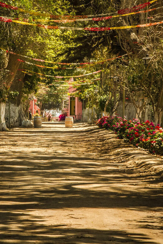 Visit to the Tacama winery + Wine and pisco tasting - Final Thoughts