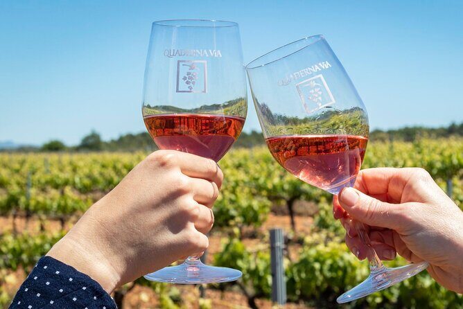 Visit to the Winery with Wine Tasting and Appetizers in Navarra - Practical Tips for Travelers