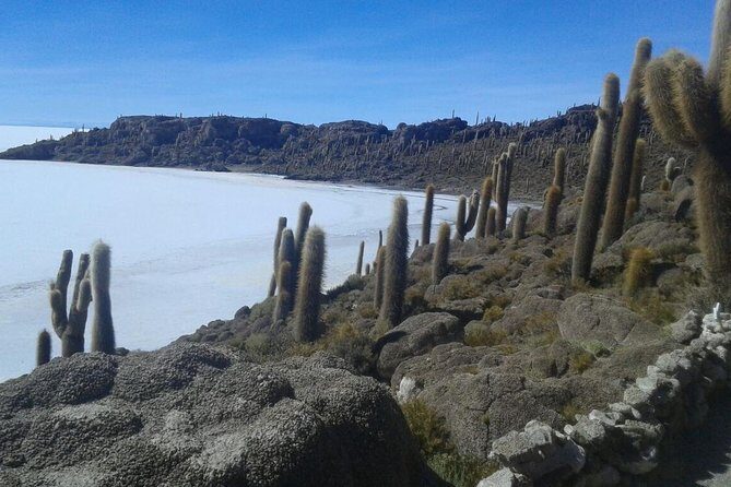Visit to Uyuni Salt Flats from Sucre by Bus - Final Thoughts