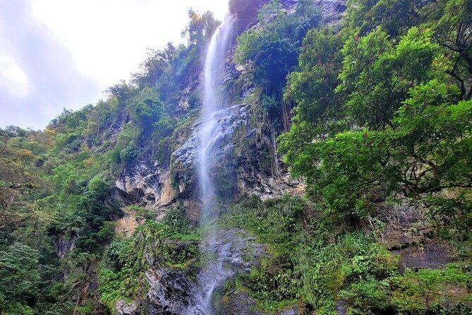 Visit Trinidads highest waterfall - Final Thoughts: Who is This Tour Best For?