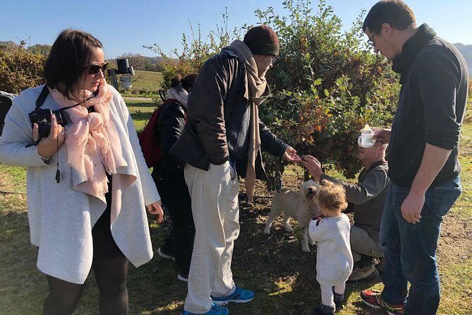 Visit truffle fields and hunt with a dog in all seasons. - Final Thoughts: Who Should Consider This Tour?