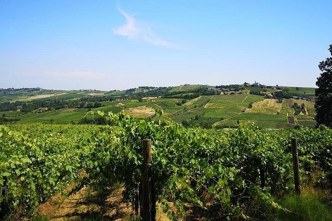 Visit, wine tasting and lunch - An In-Depth Look at the Lombardy Wine Tour