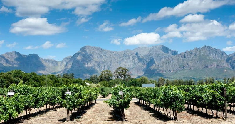 Visit winery in guadalest - Final thoughts: is this experience worth your time?