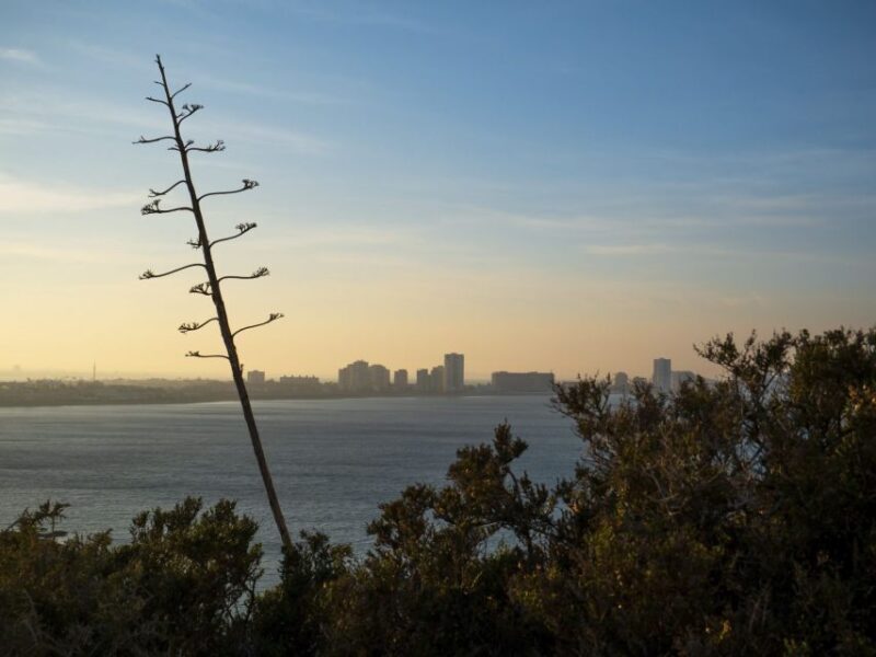 Visita al Faro de Cabo de Palos - FAQs