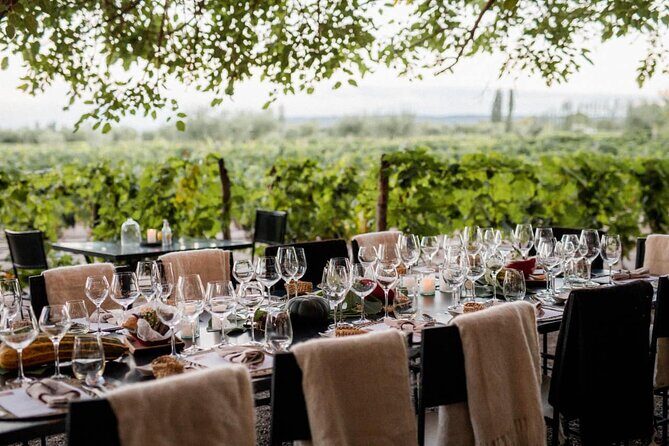 Visita Bodega Huarpe + Almuerzo Bodega Lagarde. Transfer privado - Key Points