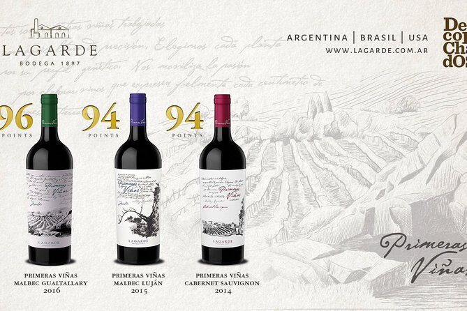 Visita Bodega Huarpe + Almuerzo Bodega Lagarde. Transfer privado - Who Would Benefit Most?