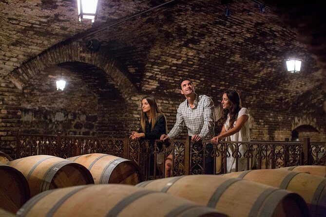 Visita Guiada Premium Centro del Vino Concha y Toro - A Detailed Breakdown of the Tour Experience