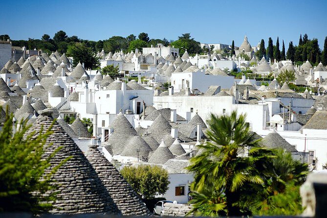 Visita guidata dei Trulli di Alberobello - Exploring the Unique Trulli of Alberobello: A Guided Tour Worth Your Time