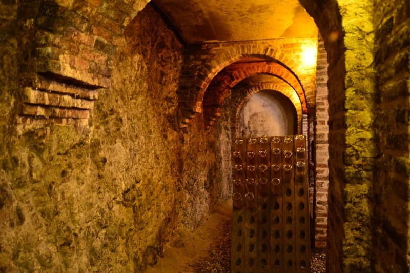 Visita guidata e Degustazione vini Monforte d'Alba - A Practical Look at the Experience