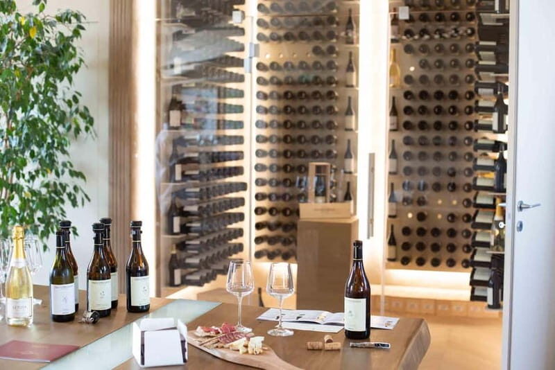 Visita guidata e Degustazione vini Monforte d'Alba - The Sum Up
