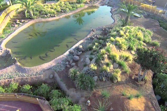 Visite the Crocodiles Park and Botanic garden - Who Will Love This Tour?