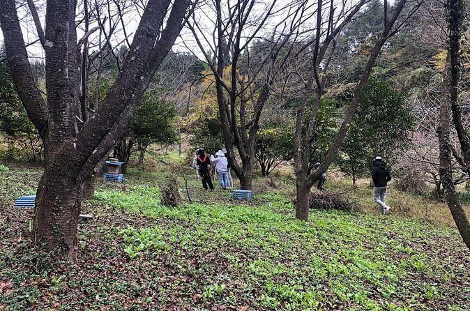 Visiting Beekeeper and Beeswax Craft Making in Bungoono City - Final Thoughts