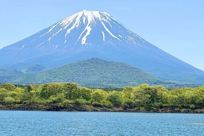 Visiting Historical Sites in Hakone with a View of Mount Fuji - Key Points