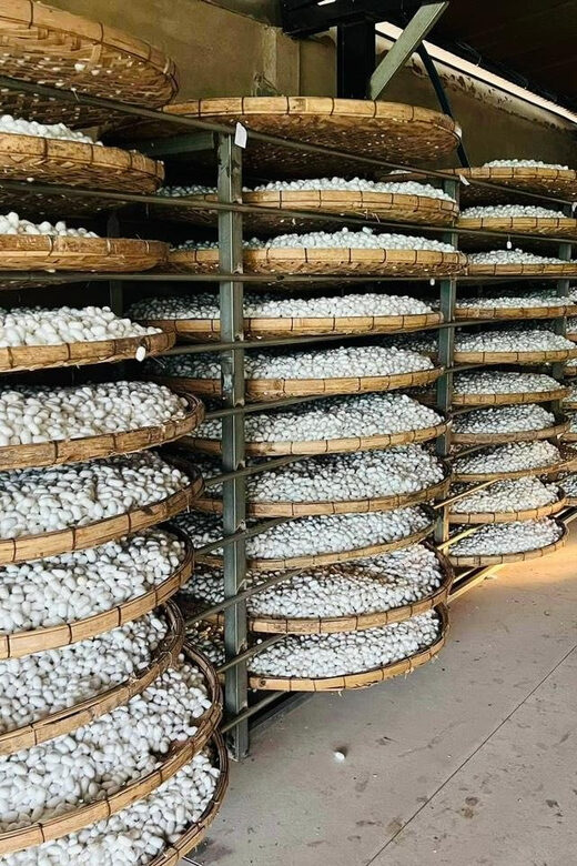 Visiting Silk Factory & Coffee - Why This Tour Stands Out