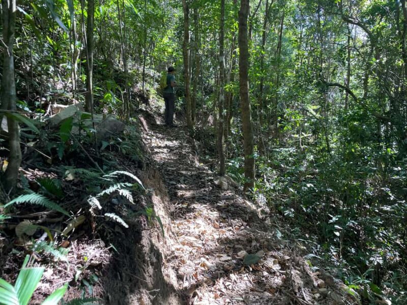 Vista Nieves: Guided Hike on Private Reserve with Transport - Key Points