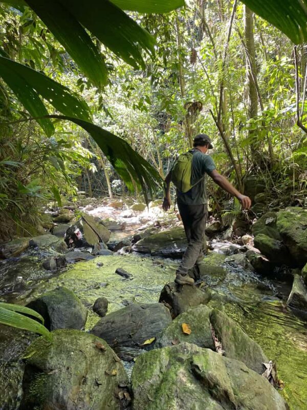 Vista Nieves: Guided Hike on Private Reserve with Transport - Overview of the Experience