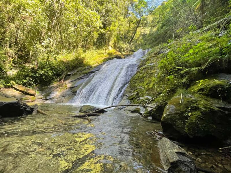 Vista Nieves: Guided Hike on Private Reserve with Transport - What Makes This Tour Special?