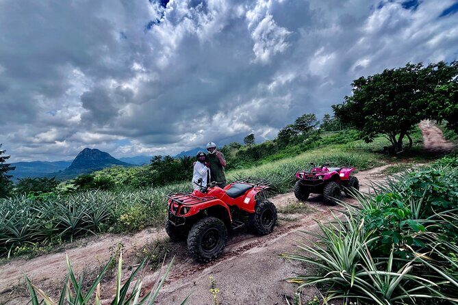 Vitamin N: Nature + massage - In Closing