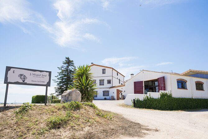 Viticulture and Wine-Tasting 3-Hour Trip from Barcelona - Key Points