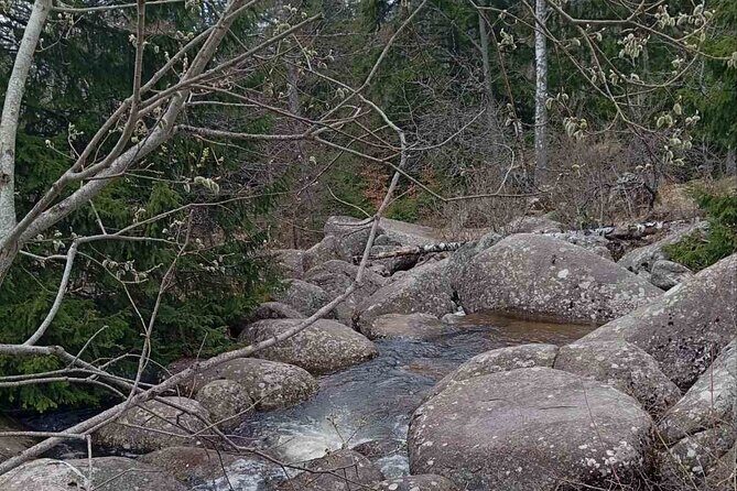Vitosha Mountain- Heritage and Hiking- Private Day Trip - Transportation and Logistics
