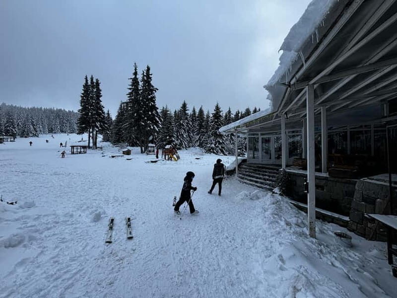 Vitosha: Ski Day Trip by Mountain Stars Ski School - Exploring Vitosha: A Guided Ski Day Trip by Mountain Stars Ski School