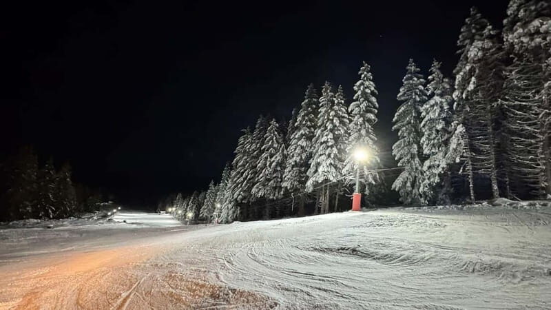 Vitosha: Ski Day Trip by Mountain Stars Ski School - Who Will Love This Tour?