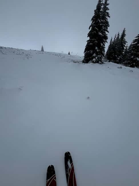 Vitosha: Ski Day Trip by Mountain Stars Ski School - Practical Details and Tips