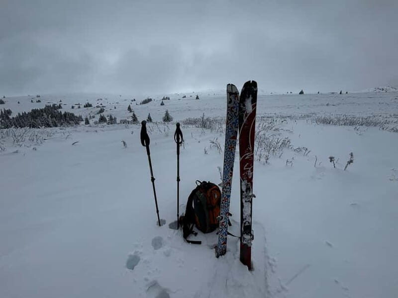 Vitosha: Ski Day Trip by Mountain Stars Ski School - The Sum Up: Who Should Consider This Experience?