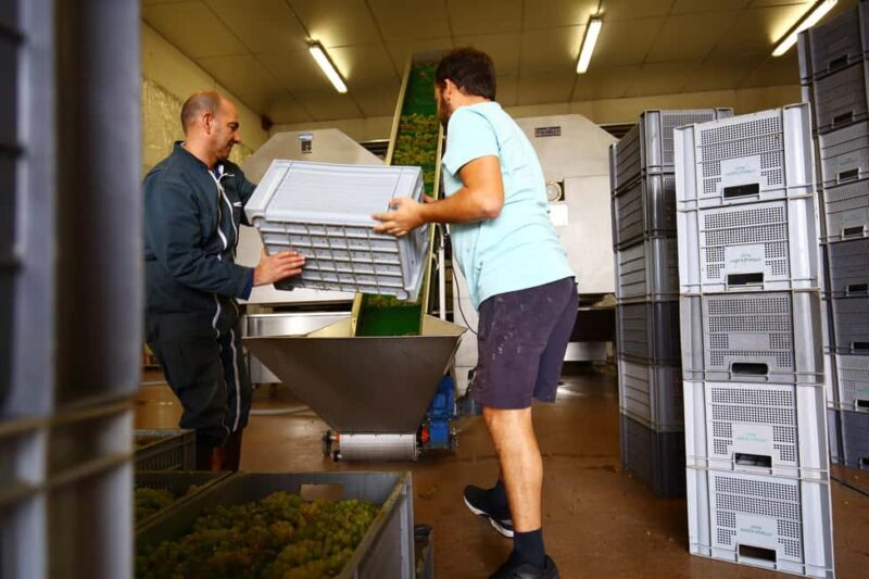 Vitteaut-Alberti: discovery tasting of 4 Crémants de Bourgogne - Frequently Asked Questions