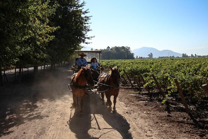 Viu Manent and Montes Winery, Colchagua Valley from semi-private - Logistics and Value