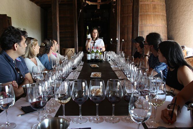 Viu Manent and Montes Winery, Colchagua Valley from semi-private - Authentic Experiences Highlighted by Travelers