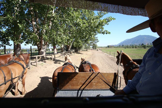 Viu Manent and Montes Winery, Colchagua Valley from semi-private - Who Should Consider This Tour?