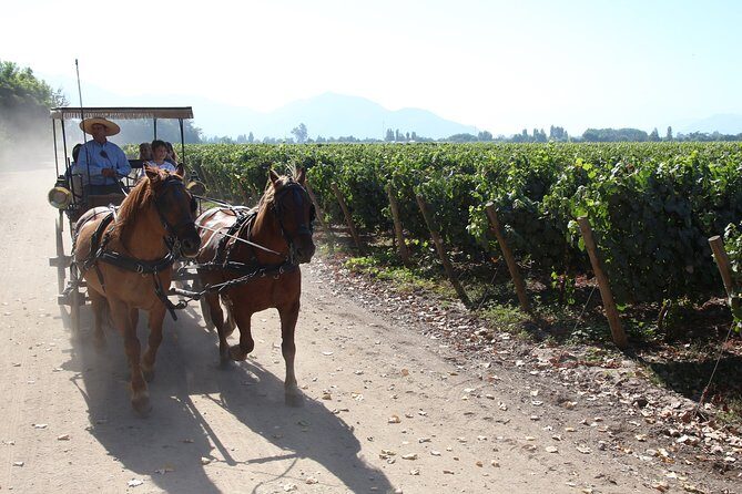 Viu Manent and Montes Winery, Colchagua Valley from semi-private - The Sum Up
