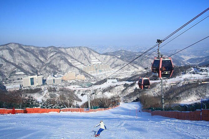 Vivaldi Park Winter Ski Resort with Nami Island Tour from Seoul - Experience the Best of Winter in Seoul: Vivaldi Ski Resort & Nami Island Tour