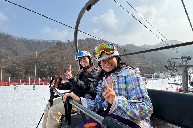 Vivaldi Park Winter Ski Resort with Nami Island Tour from Seoul - Key Points