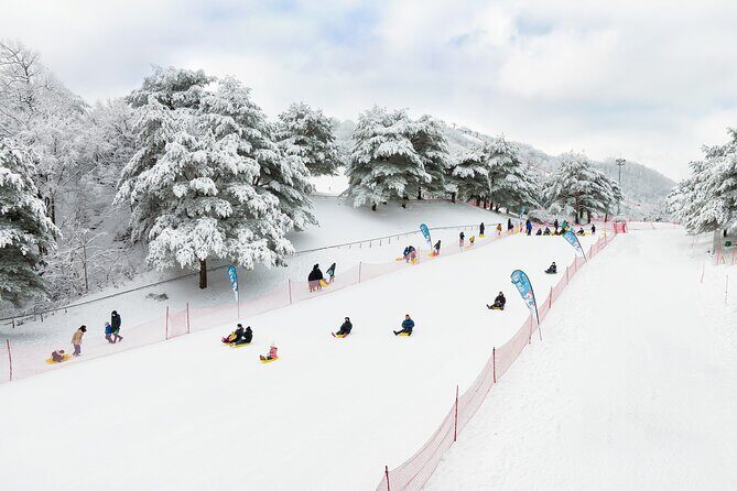 Vivaldi Park Winter Ski with Eobi Ice Valley Day Tour from Seoul - Final Thoughts: Is This Tour for You?