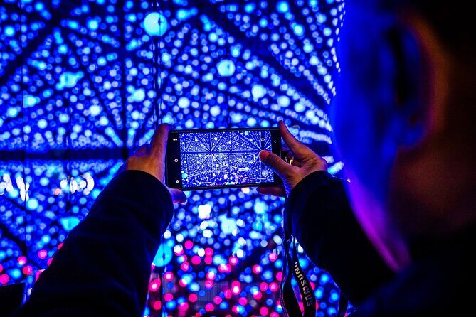 Vivid Sydney Walking Tour Lights, Stories and Secret Spots - An In-Depth Look at the Vivid Sydney Walking Tour