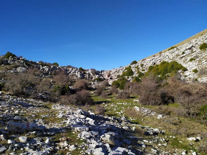 Vlore : Llogara National Park Infocenter to Deep Neck - Returning and Local Lunch