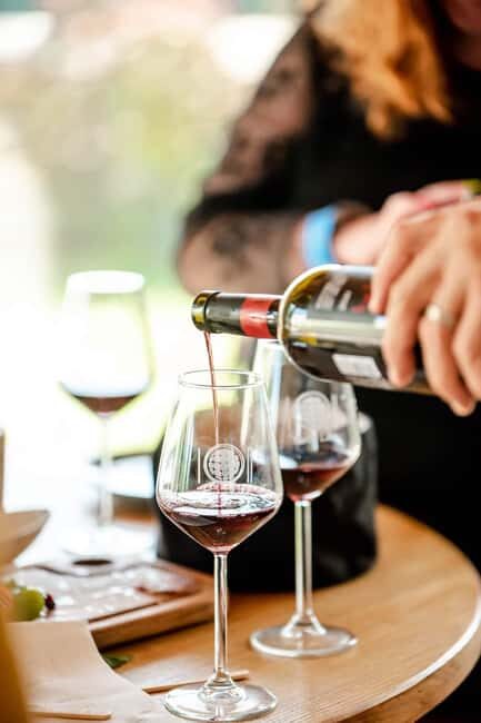 Vodice: Vinarija Birin Winery Tour with Wine Tasting - An In-Depth Look at the Vinarija Birin Experience