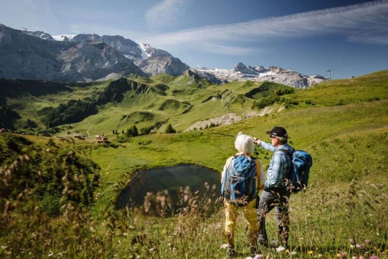 Vogellisi Mountain: Easy Panoramic Flower Trail Hike - Who Will Love This Experience?