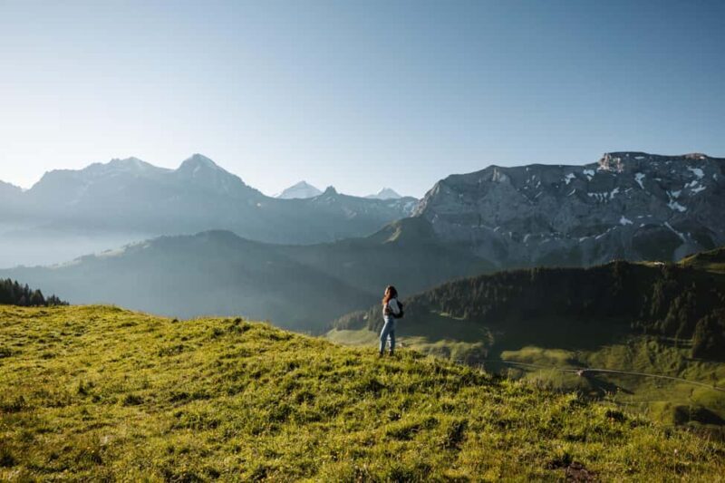 Vogellisi Mountain: Easy Panoramic Flower Trail Hike - The Sum Up