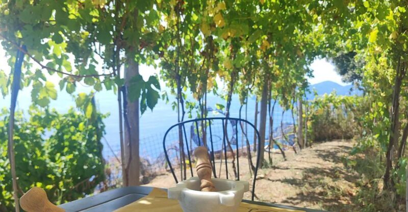 Volastra: BarCa Wine Tasting in Cinque Terre and Pesto Class - FAQ