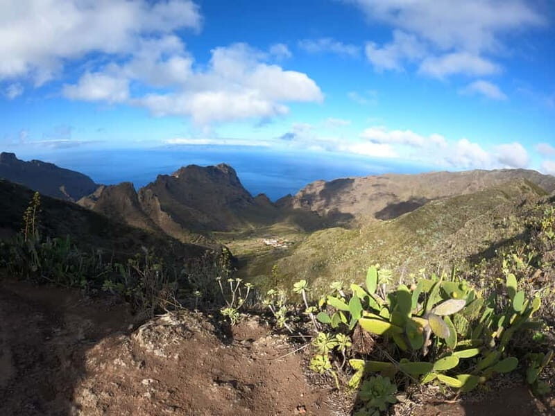 Volcanes, Viñedos y Laurisilva  Santiago del Teide - Key Points
