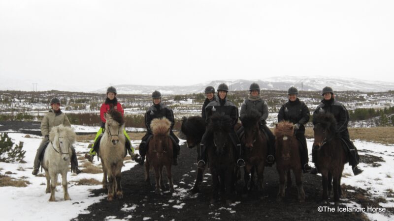 Volcanic Landscape Iceland Horse Riding Tours - Practical Information for Travelers