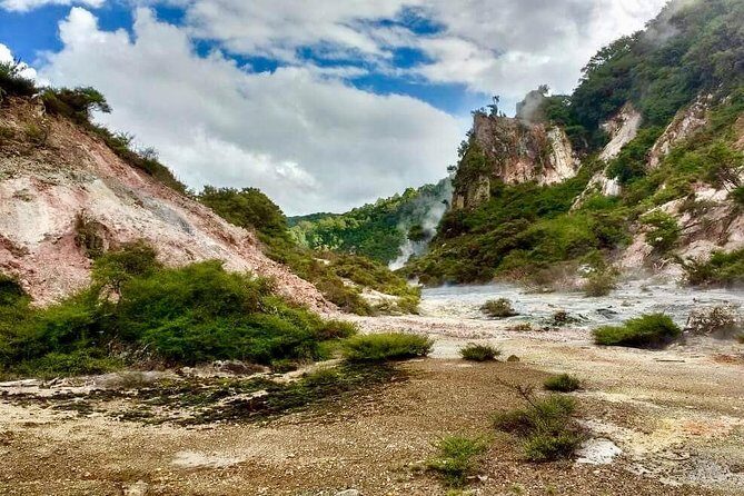 Volcanic Rotorua Day Trip from Auckland - Waimangu Volcanic Valley: A Lush, Colorful Introduction