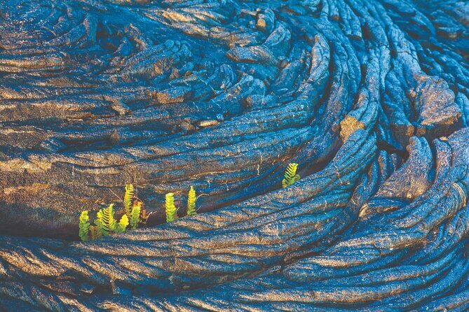 Volcano Adventure: Hilo Sightseeing w/ Optional Helicopter Tour - Key Points