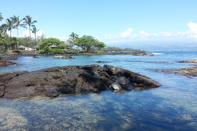 Volcano Adventure Tour & Waterfall - Shore Excursion from Hilo Harbor - The Sum Up: Is This Tour Worth It?